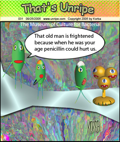 cartoon 31, museum of culture